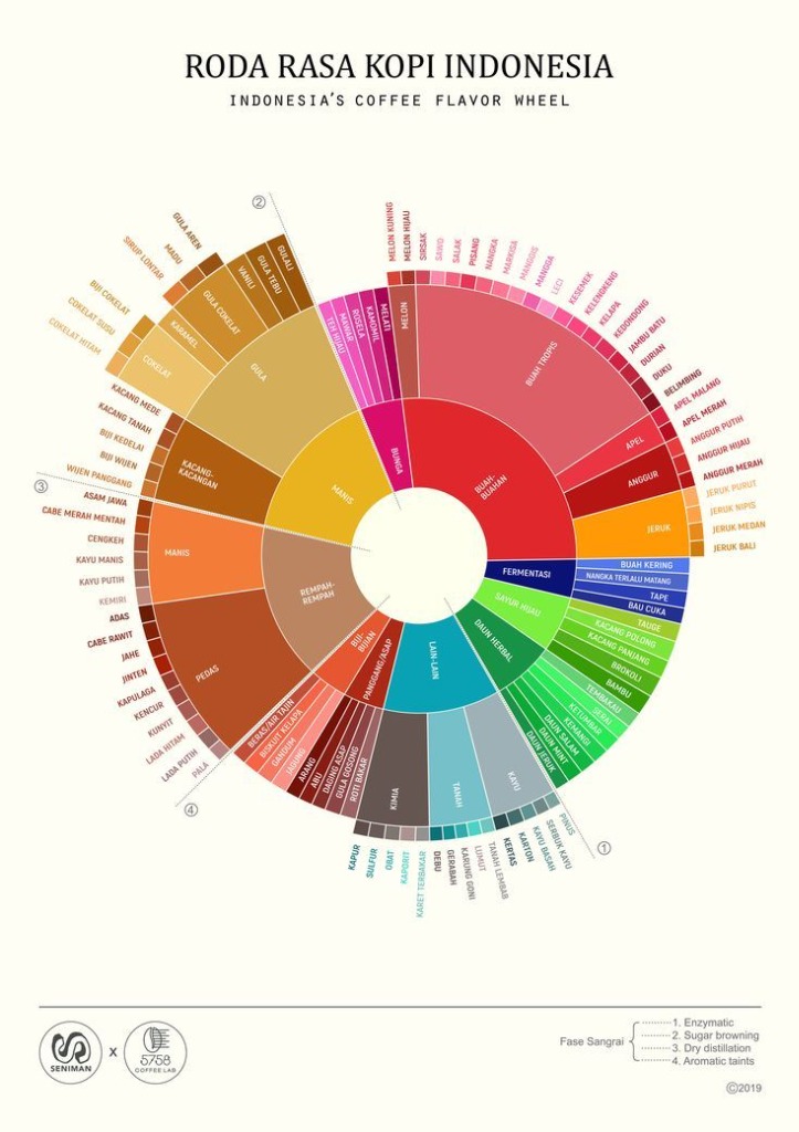 Roda Rasa Kopi Indonesia - Indonesia's Coffee Flavor Wheel